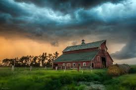 Manu Zapata_El cine (de estreno) fácil de leer_vivazapata.net_general de la casa