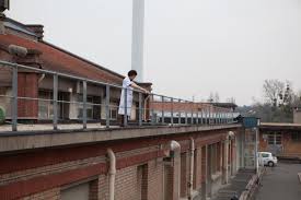 Manu Zapata_El cine (de estreno) fácil de leer_vivazapata.net_asomado en la azotea