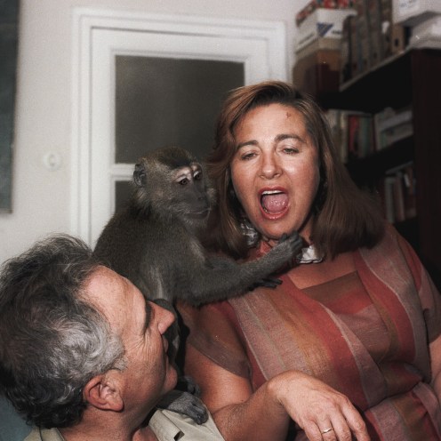 Manu Zapata_El cine (de estreno) fácil de leer_vivazapata.net_MUCHOS HIJOS, UN MONO Y UN CASTILLO_Antonio García, el mono y Julita Salmerón