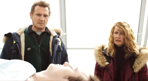 Manu Zapata_El cine (de estreno) fácil de leer_vivazapata.net_VENGANZA BAJO CERO_Liam Neeson y Laura Dern y su hijo muerto